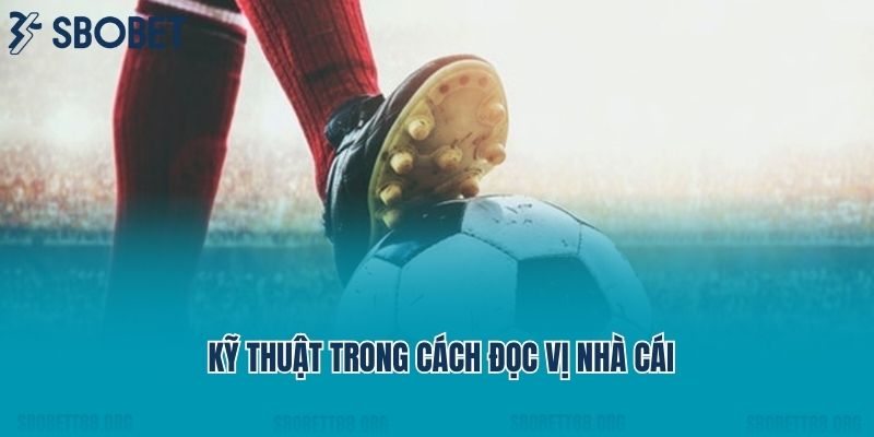 Kỹ thuật trong cách đọc vị nhà cái