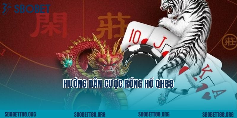 Hướng Dẫn Cược Rồng Hổ QH88 Chi Tiết Các Thao Tác