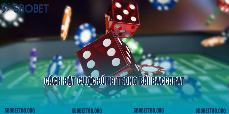 Cách đặt cược đúng trong bài Baccarat